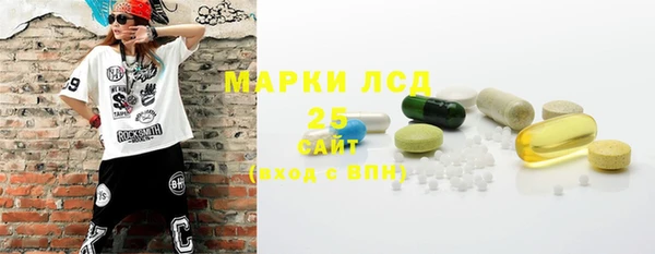 хмурый Алзамай
