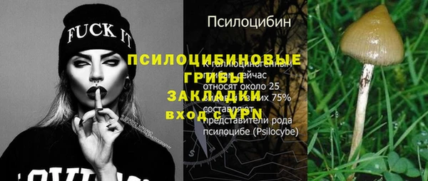 бошки Алексеевка