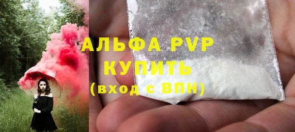 СК Алексин