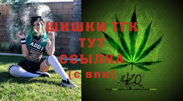 первитин Абинск